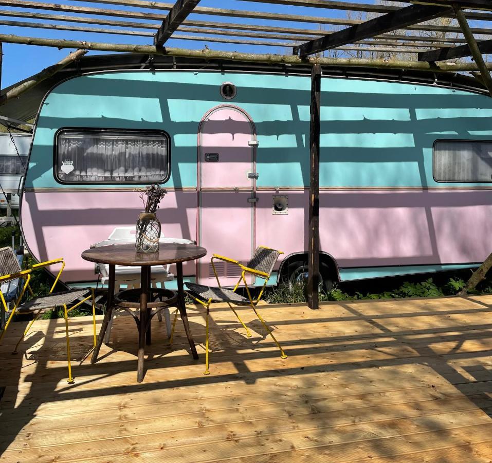 Camping Rogowo Mrzeżyno Extérieur photo