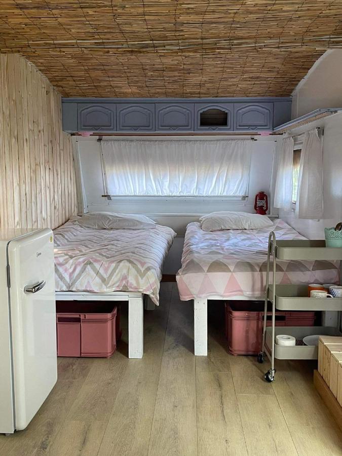 Camping Rogowo Mrzeżyno Extérieur photo